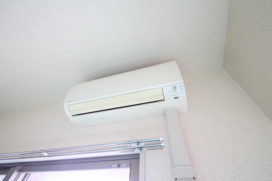 サンシャイン猫田