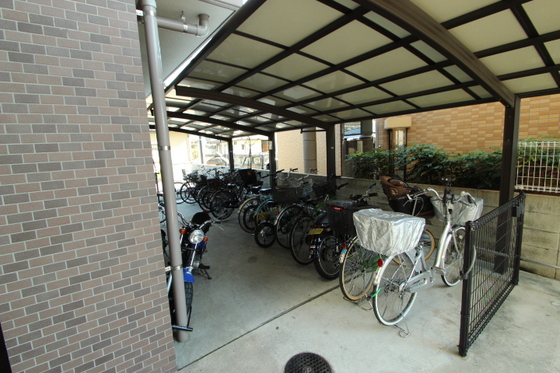 サンシャイン猫田