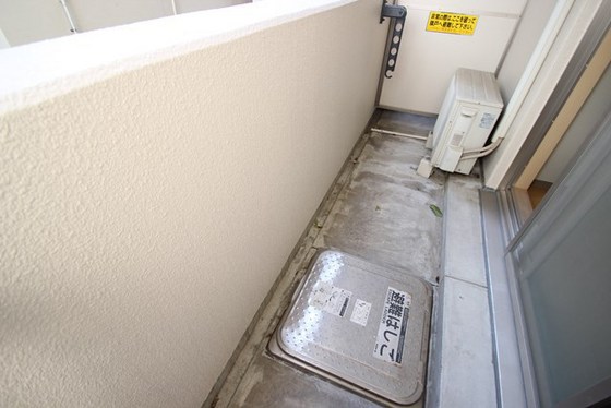 グレースコート