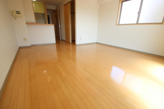 グレースコート