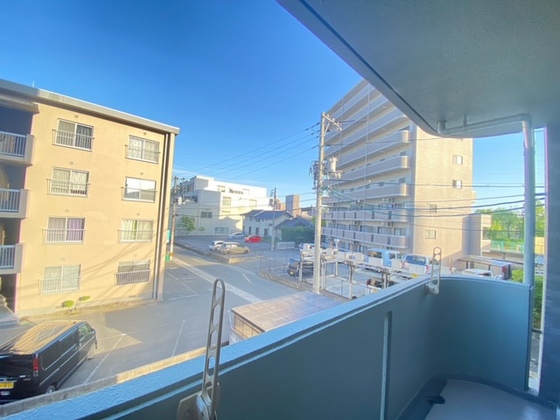 シャトームジカ