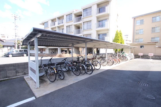 シャトームジカ