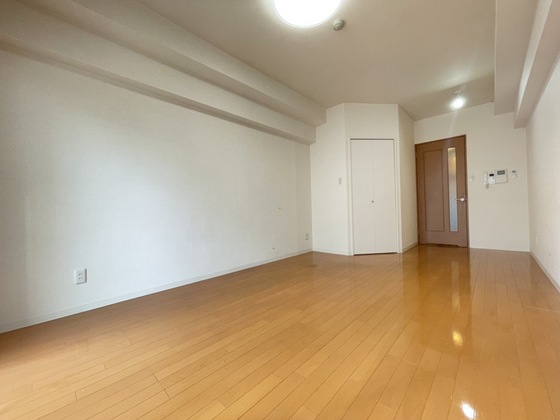 グラビスコート白島