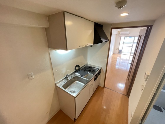 グラビスコート白島