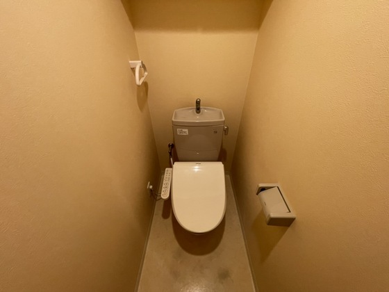 グラビスコート白島