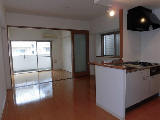 グラビスコート白島