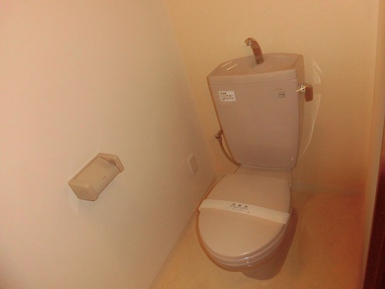 グラビスコート白島