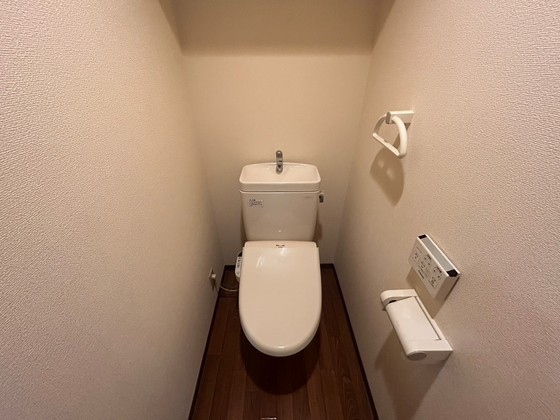 ジョルニ・フェリーチ