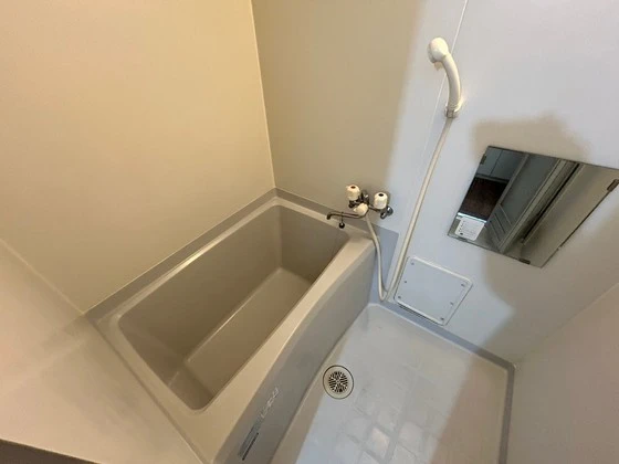 ジョルニ・フェリーチ