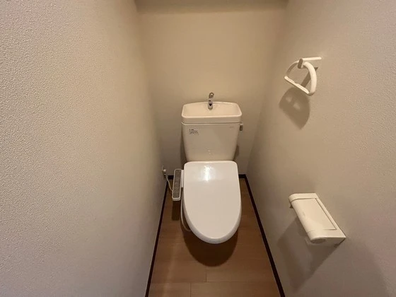 ジョルニ・フェリーチ