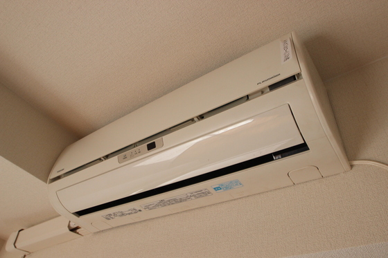 ジョルニ・フェリーチ