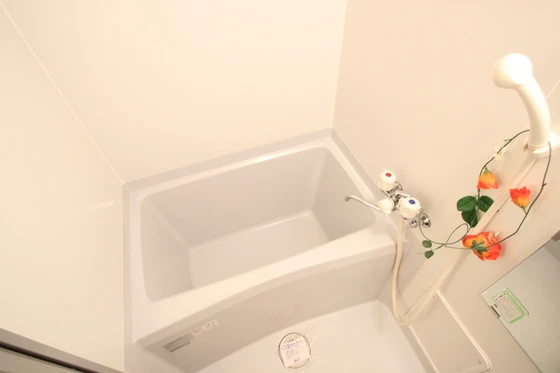 ジョルニ・フェリーチ