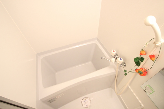 ジョルニ・フェリーチ