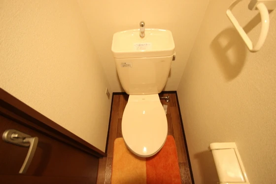 ジョルニ・フェリーチ