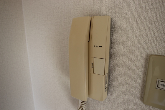 ジョルニ・フェリーチ