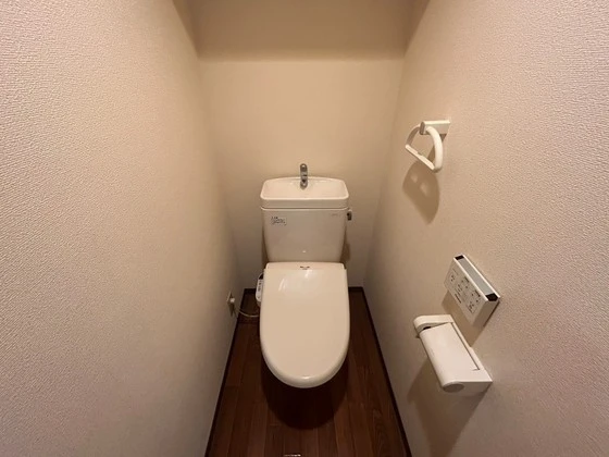 ジョルニ・フェリーチ