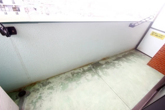 グランドメゾン西本