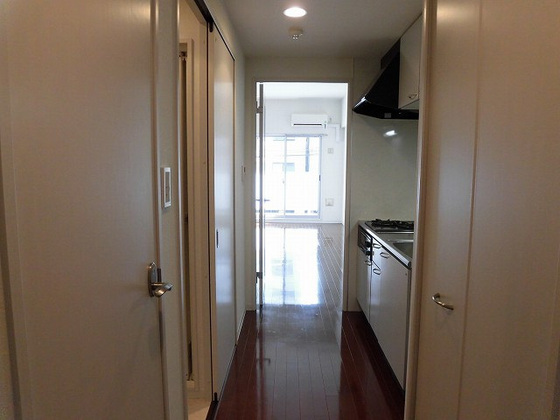 グラビスコート光町