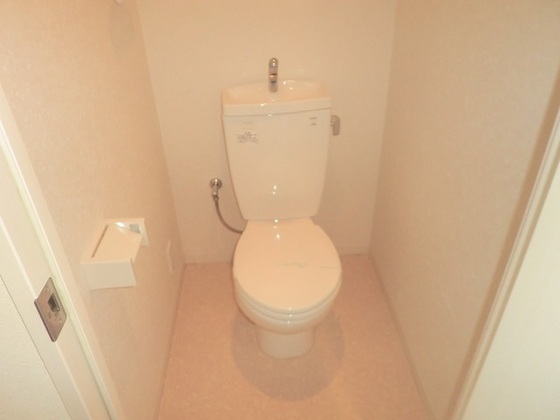 グラビスコート光町