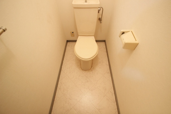 ヴィラウエスギ