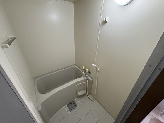 アトラクティブハイム