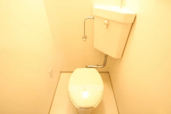 アトラクティブハイム