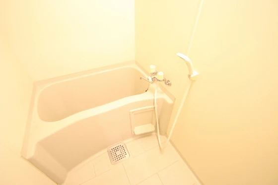 アトラクティブハイム