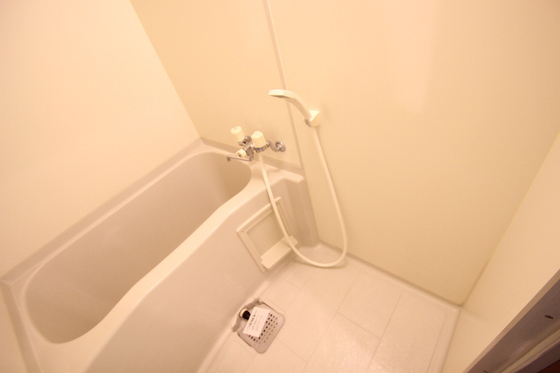 アトラクティブハイム