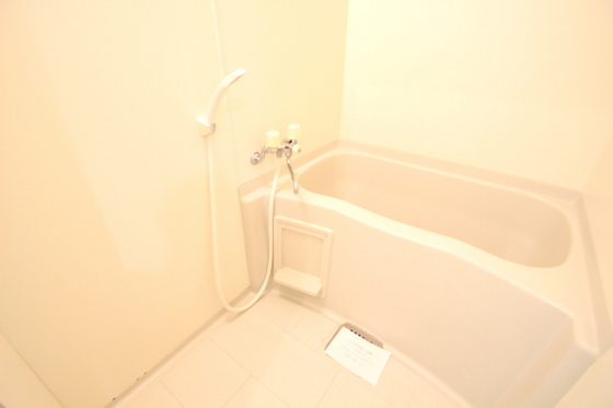 アトラクティブハイム