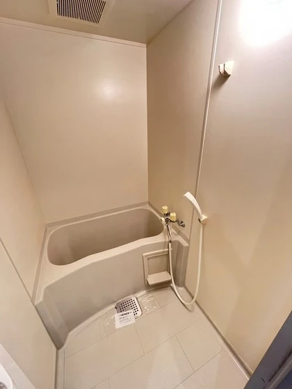 アトラクティブハイム