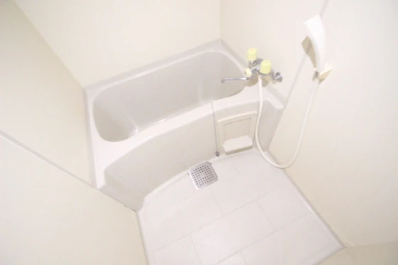 アトラクティブハイム