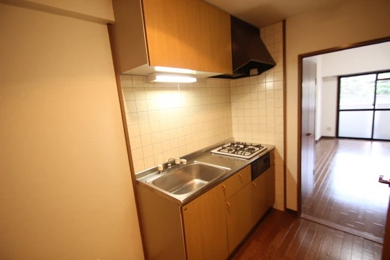 アトラクティブハイム