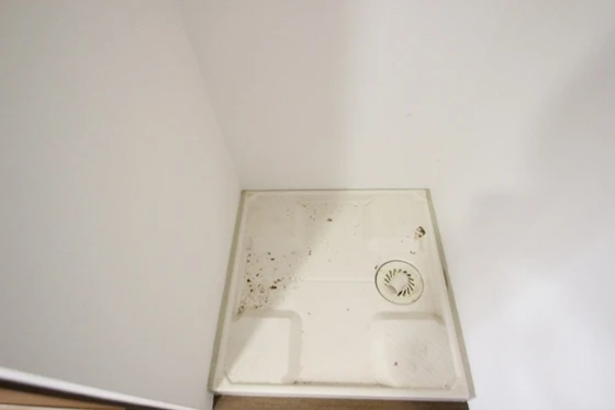 パークサイド羽衣