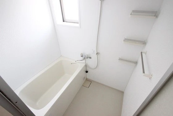 ヴィジョン御幸