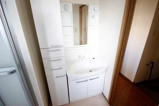 ヴィジョン御幸