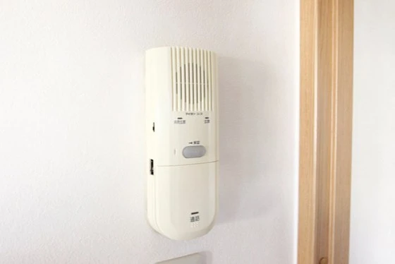 ヴィジョン御幸