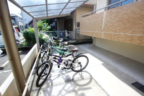 ヴィジョン御幸