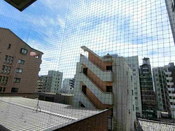 ダイアモンドビュー