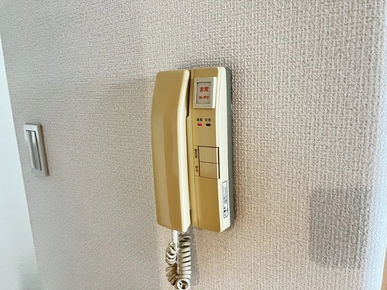 ダイアモンドビュー