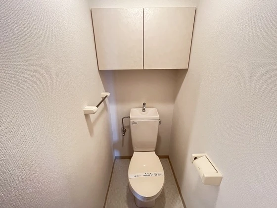 ダイアモンドビュー