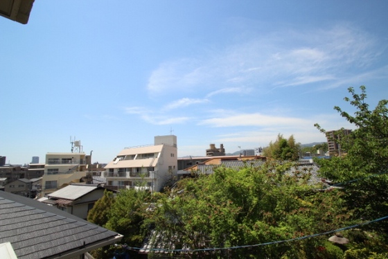 グレースワセダ