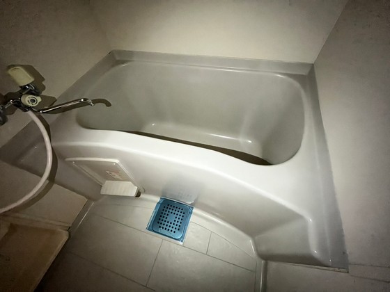 クリーンハイムⅡ