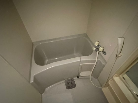 クリーンハイムⅡ