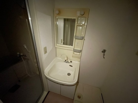 クリーンハイムⅡ