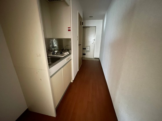 クリーンハイムⅡ