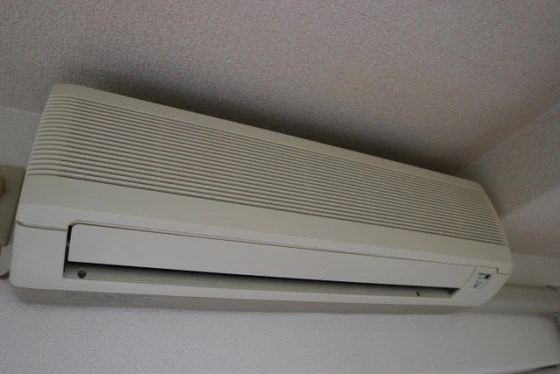 ジャルダン並木