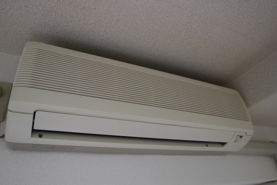 ジャルダン並木