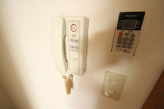 ジャルダン並木