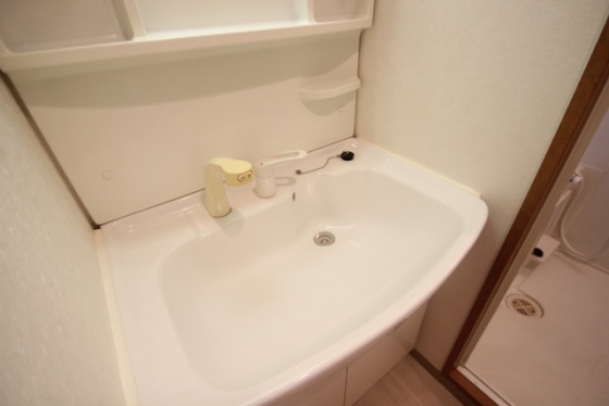 グラビスコート国泰寺