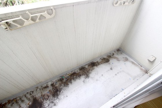 パークハイム神田